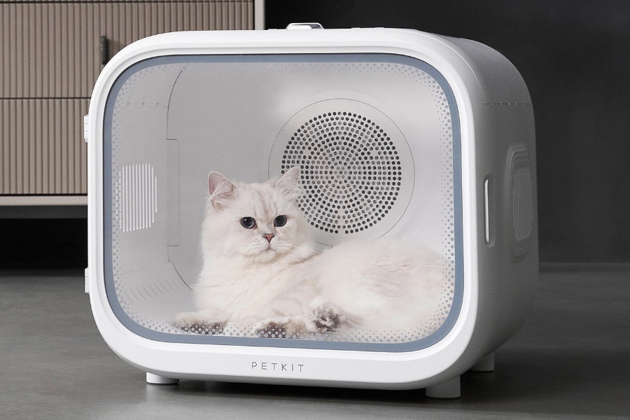 pet dryer box review
